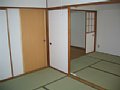 mg_1078 .jpg